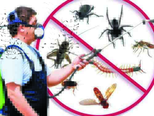 pest-control